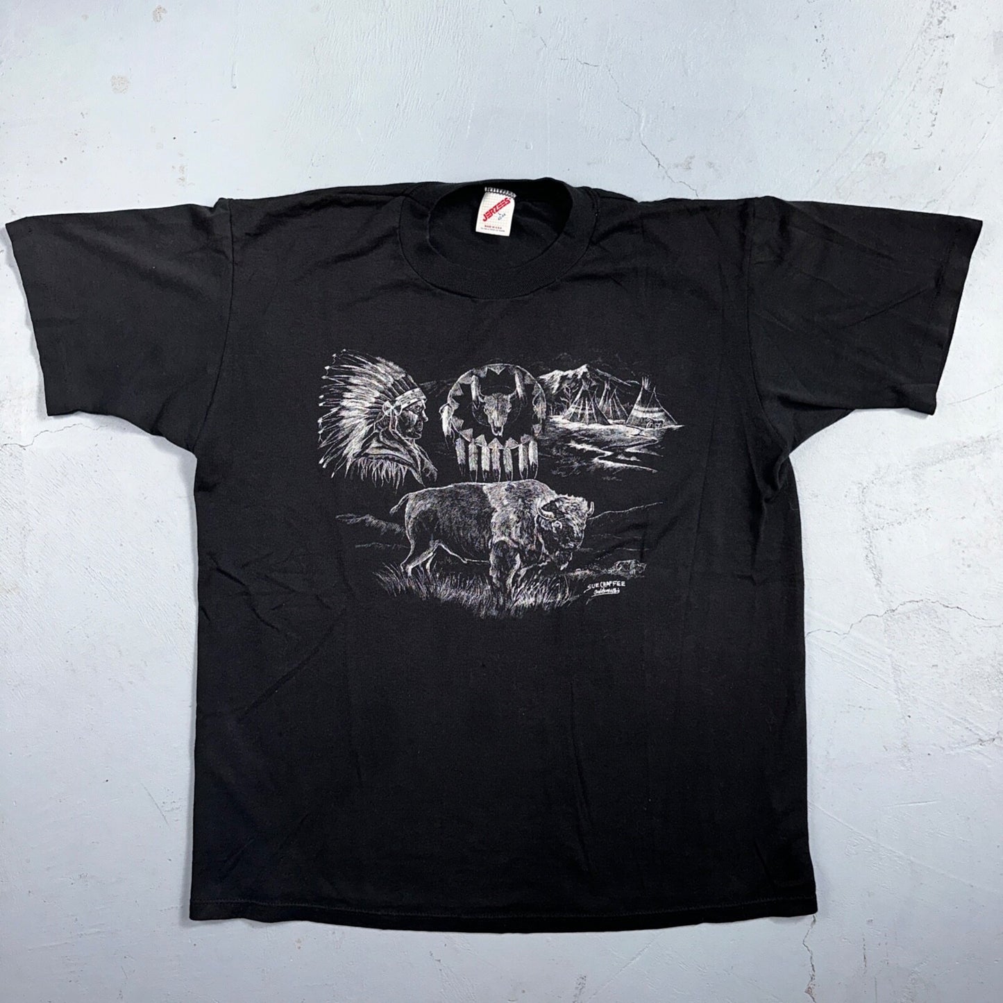 Buffalo Native American Jerzees VTG T Shirt Single Stitch Spirits Sue Chaffee