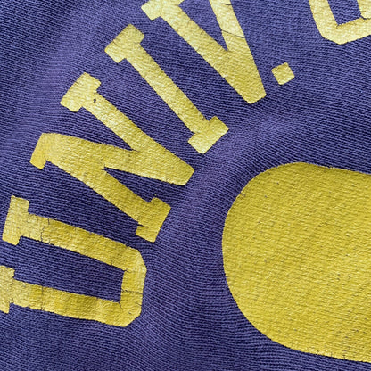 Vintage Champion Oregon Track USA Reverse Weave Sweatshirt Nike 70s University