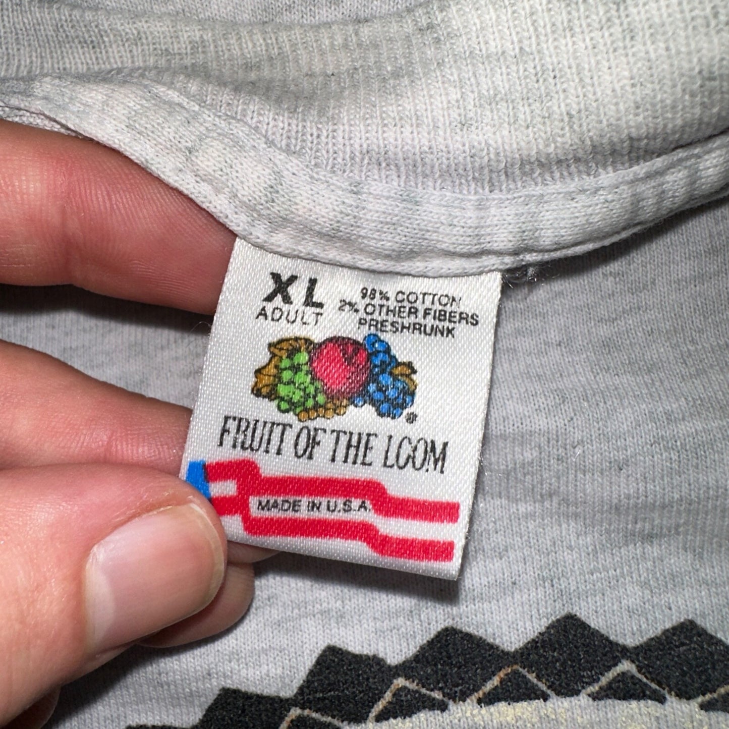 Oregon Trail FOTL VTG T Shirt 90s Game 1993 Gray Single Stitch Rare Buffalo