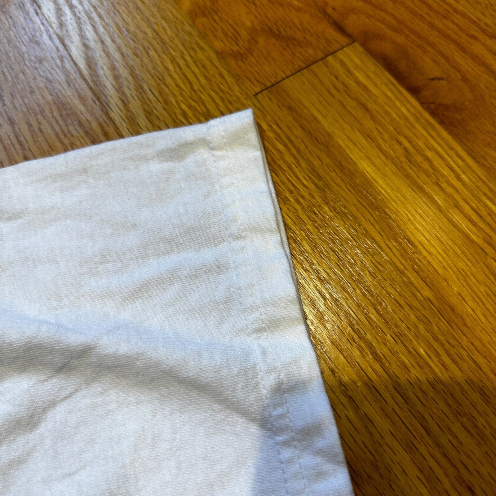 Dinosaur Club Jurassic Park Vintage T Shirt Y2K 90s Cute Animals Preschool