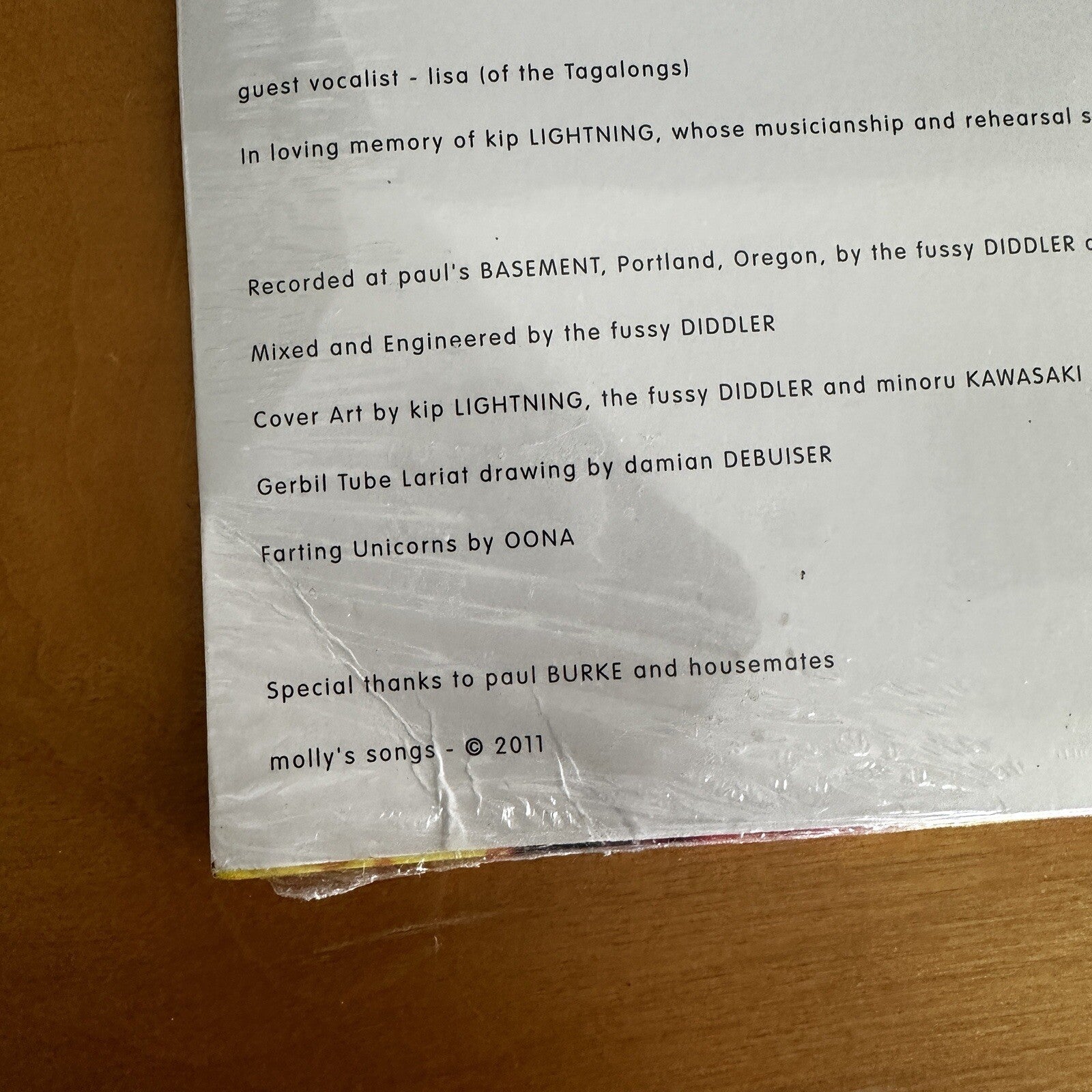 SEALED molly BANG ‎– gerbil tube lariat  LP  Portland Oregon Lo Fi u2 rem VINYL