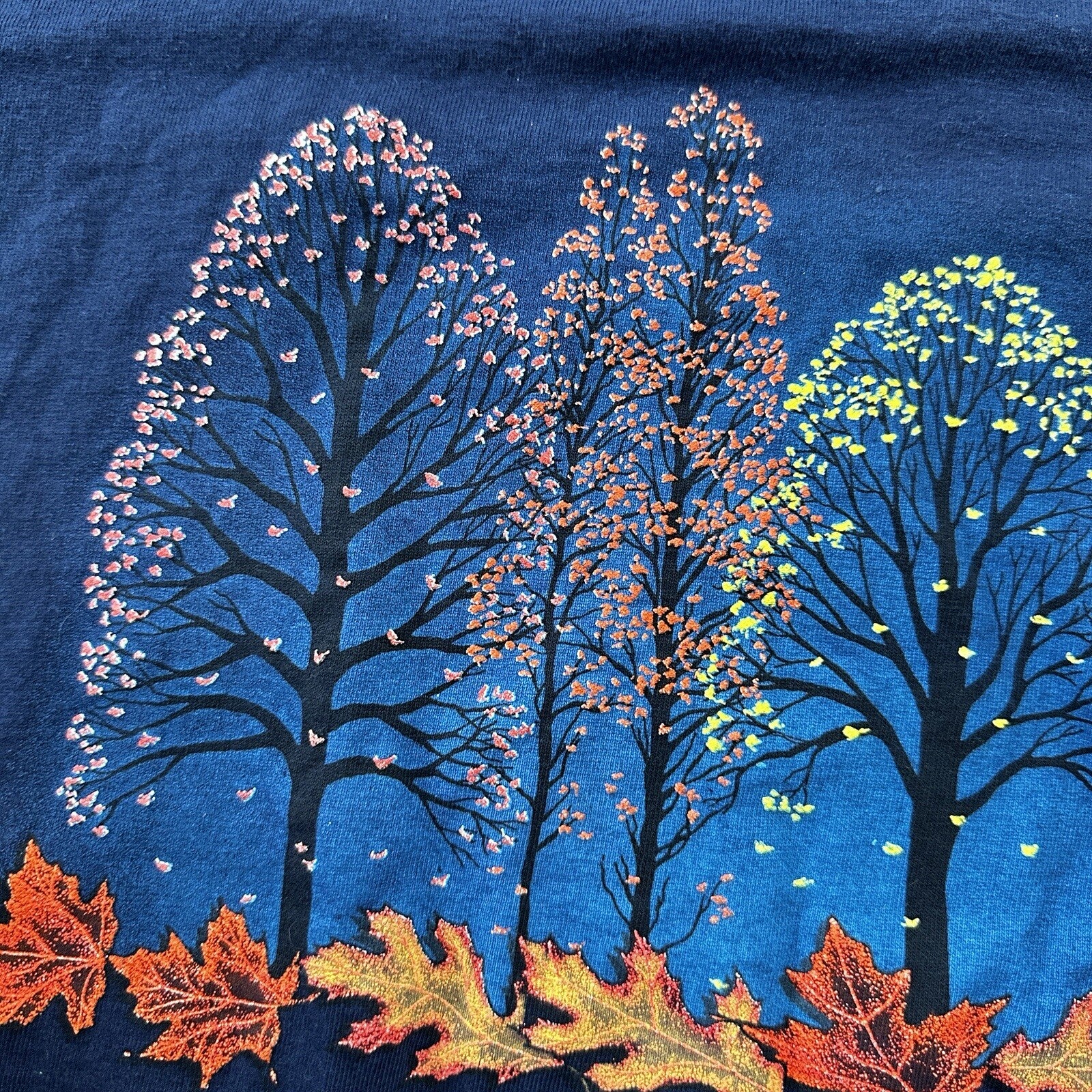 Wisconsin Dells Vintage 90s T Shirt Single Stitch City Town Autumn Fall Cozy Rap