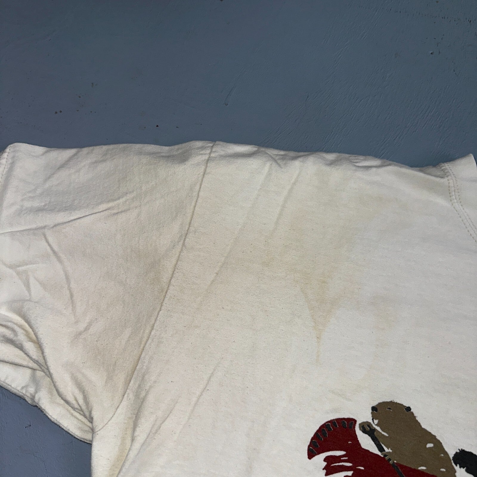 VTG Y2K Adirondack Mountains Walk On The Wild Side T Shirt XL Animals Lot 2