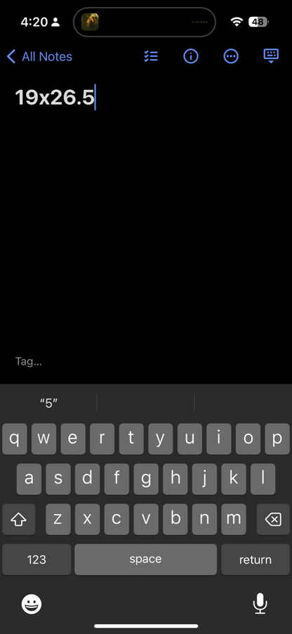 Humor Vintage T Shirt Willamette University Salem Oregon Theatre Lysistrata Rap