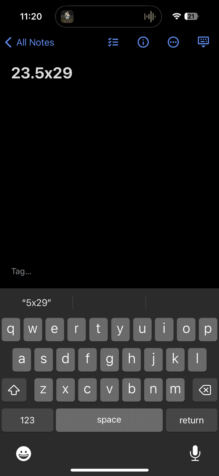 Hanes Blank 80s 90s Lot of 2 VTG T Shirt Single Stitch No Print or Graphic Blue