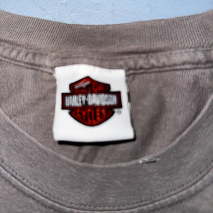 Harley Davidson Looney Tunes Y2K VTG T Shirt Biker York Pennsylvania 2000 Art