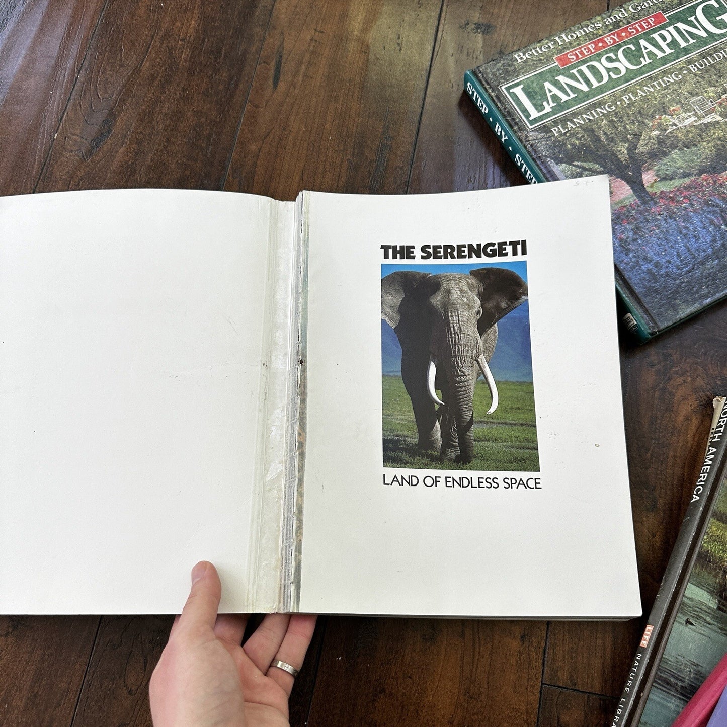 Lot 10 Cool Old Vintage Rare Hardcover Random Books Design Photography Art