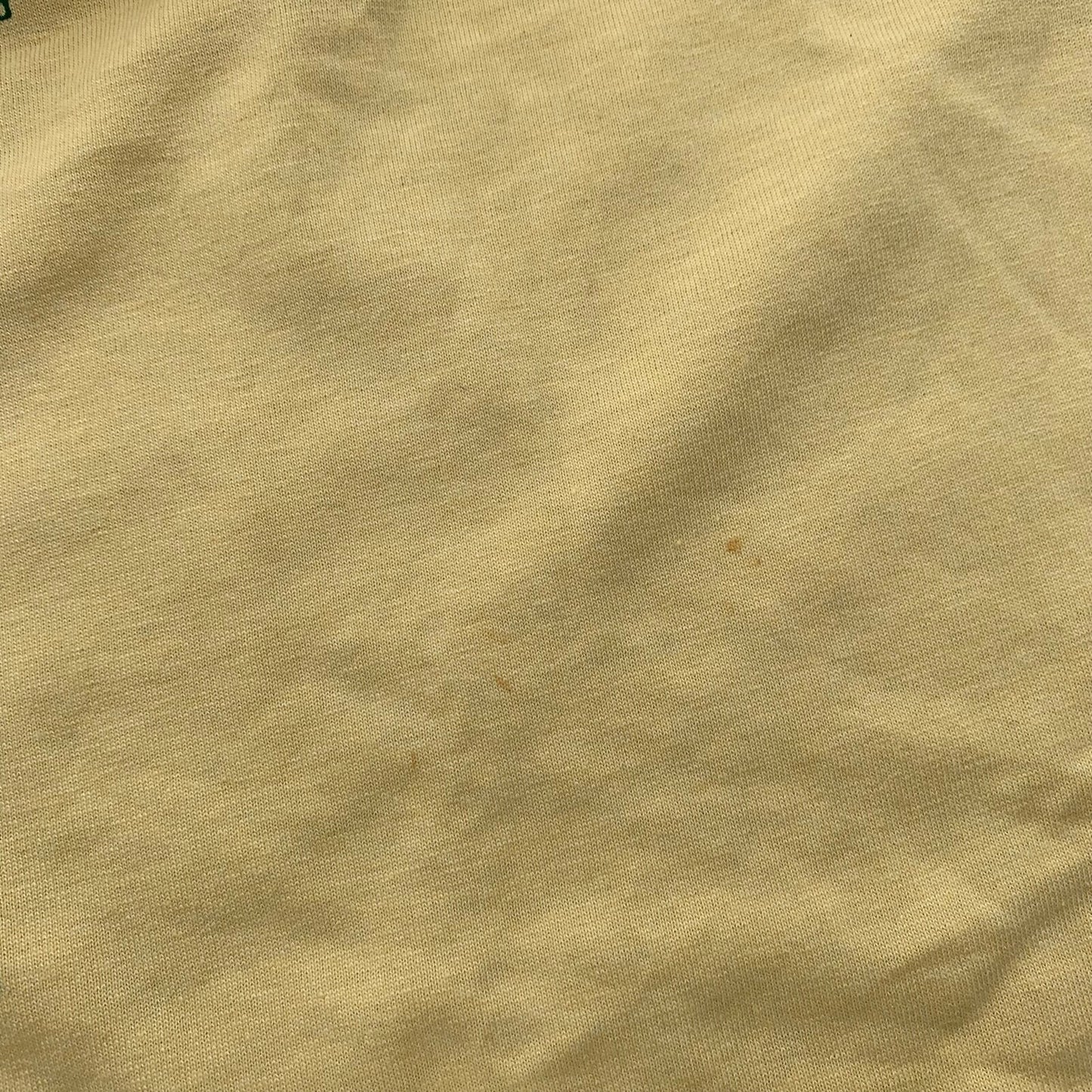 Leavenworth Washington Vintage T Shirt Seattle July 2001 Y2K Fletcher Reunion 