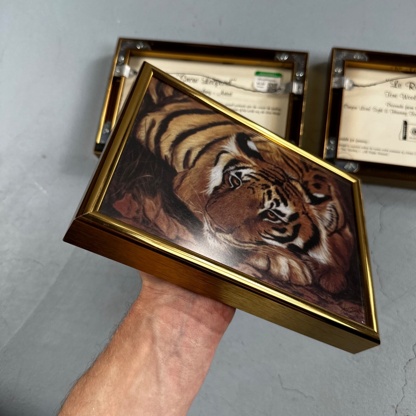 Home Interiors Tiger Framed Picture Toni Woolsey Local Oregon Artist Cats