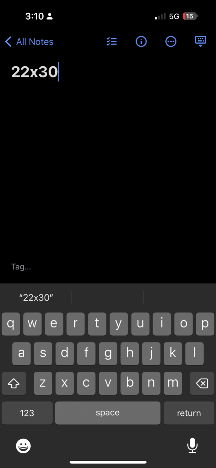 Texas Traditional Feather Tribal Vintage T Shirt 90s Bowl Classic Travel USA