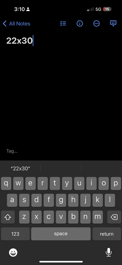 Texas Traditional Feather Tribal Vintage T Shirt 90s Bowl Classic Travel USA