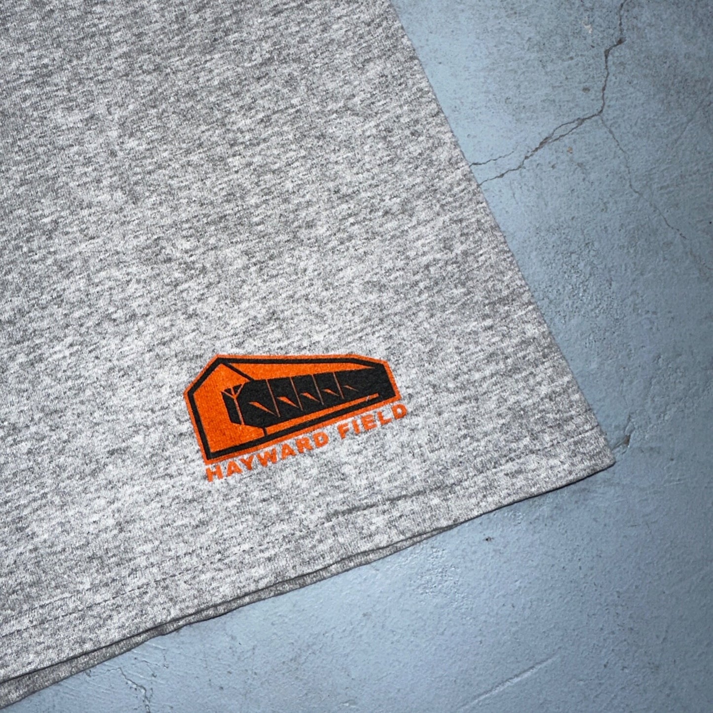 Nike Eugene 2008 VTG T Shirt Y2K Gray Rare Small Running Marathon Prefontaine