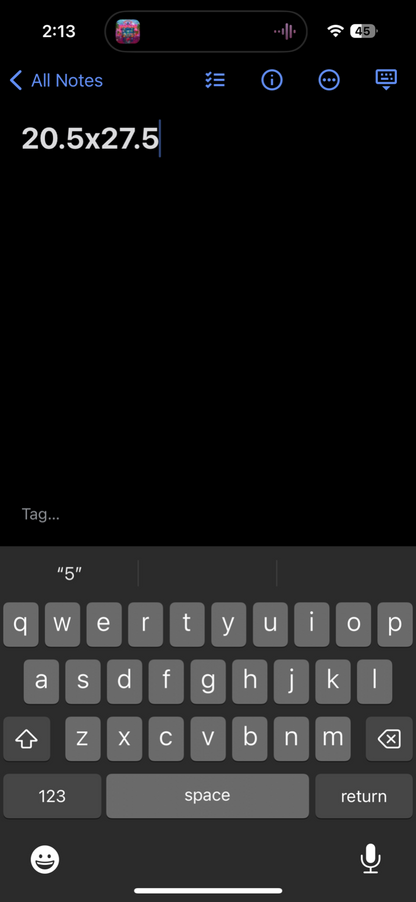 Cloud Hopper Bugs Insects 1986 VTG T Shirt Hanes XL 80s Single Stitch Art Animal