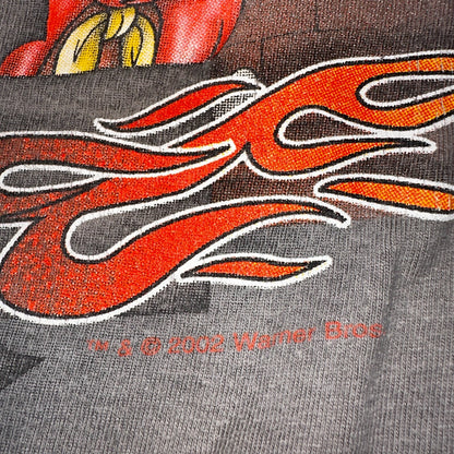 Harley Davidson Looney Tunes Y2K VTG T Shirt Biker York Pennsylvania 2000 Art