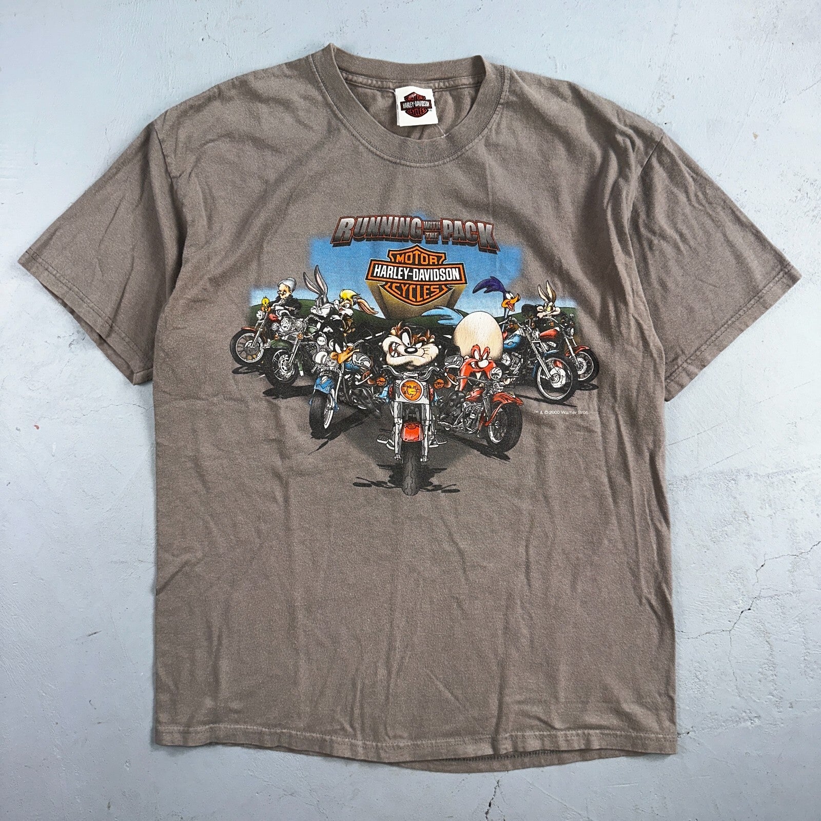 Harley Davidson Looney Tunes Y2K VTG T Shirt Biker York Pennsylvania 2000 Art