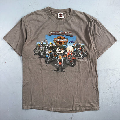 Harley Davidson Looney Tunes Y2K VTG T Shirt Biker York Pennsylvania 2000 Art