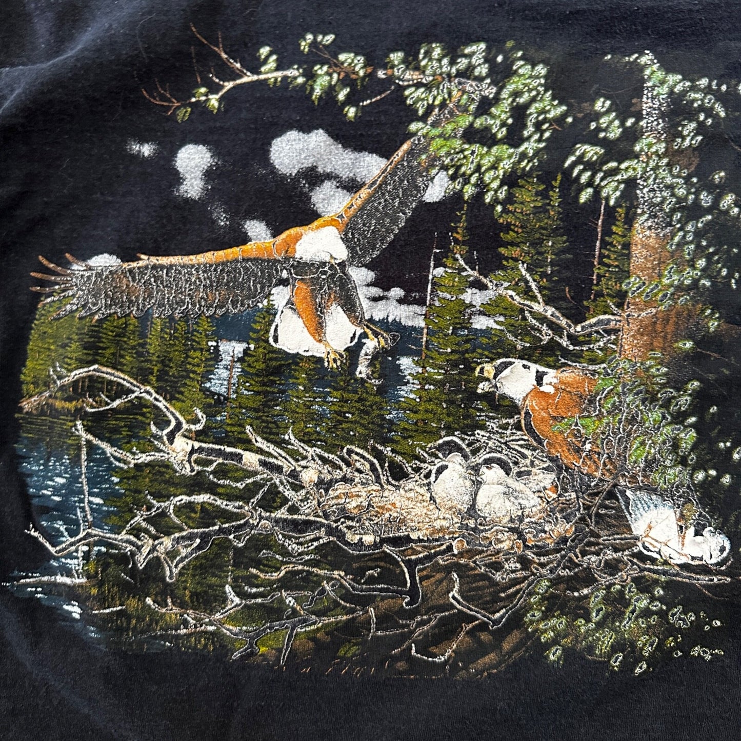 Eagle Alore 90s Single Stitch VTG T Shirt Bald Bird Nesting Nature Animals USA