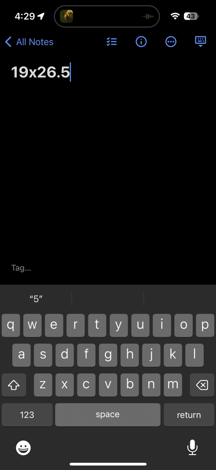 Vintage T Shirt Willamette University Salem Oregon Theatre Music Art Love 1992