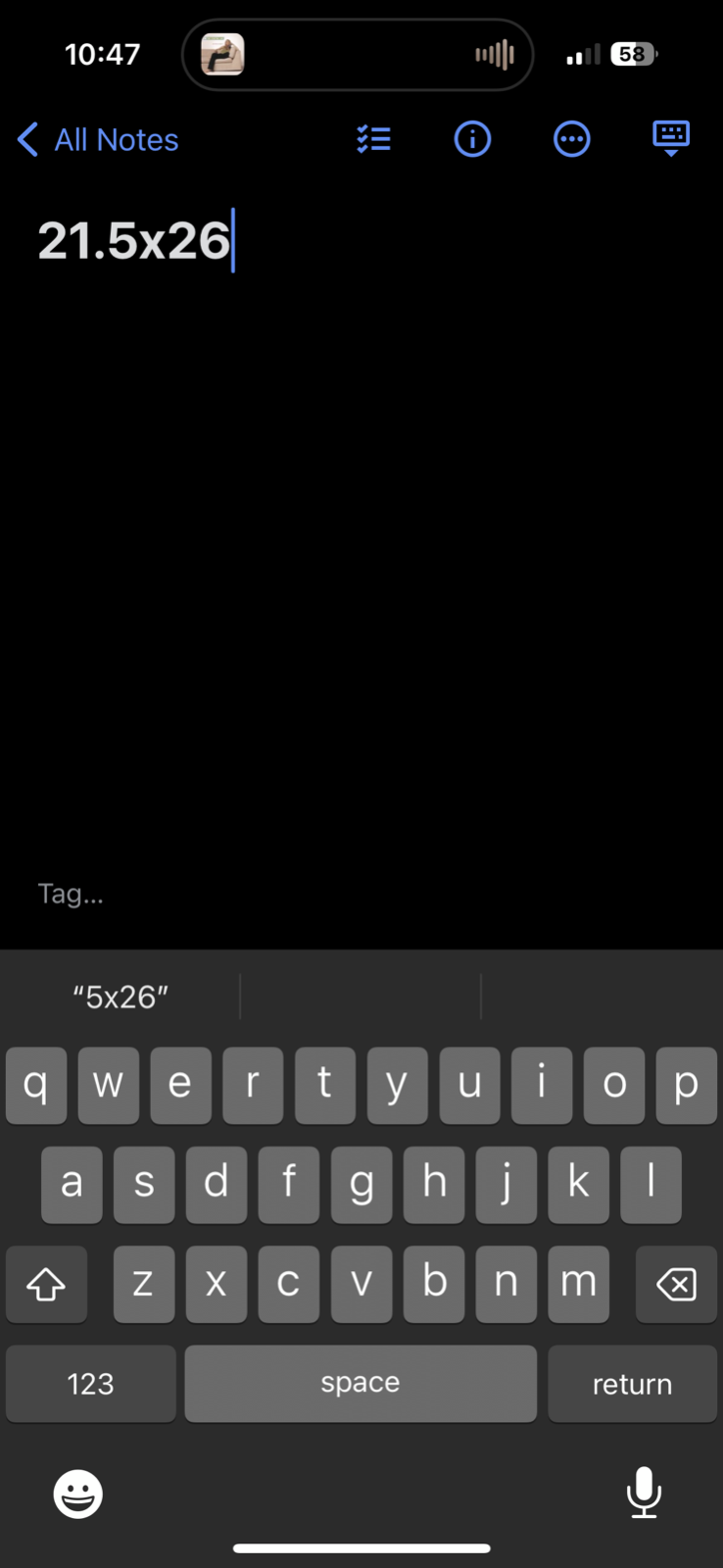 Nike Oregon Lacrosse Y2K Vintage T Shirt Gray Basic Sun Cool Summer Tee Gym