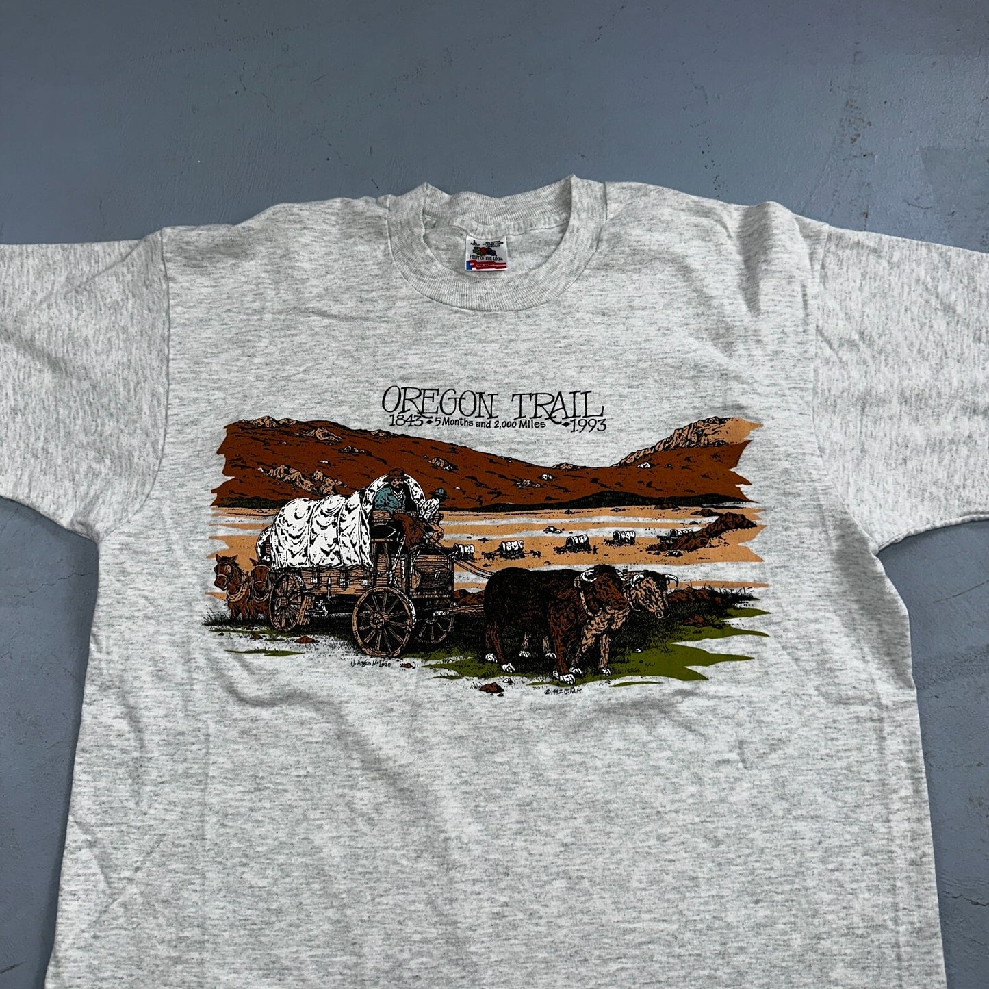 Oregon Trail 90s VTG T Shirt 1993 Gray Single Stitch Travel USA Sunset Rare