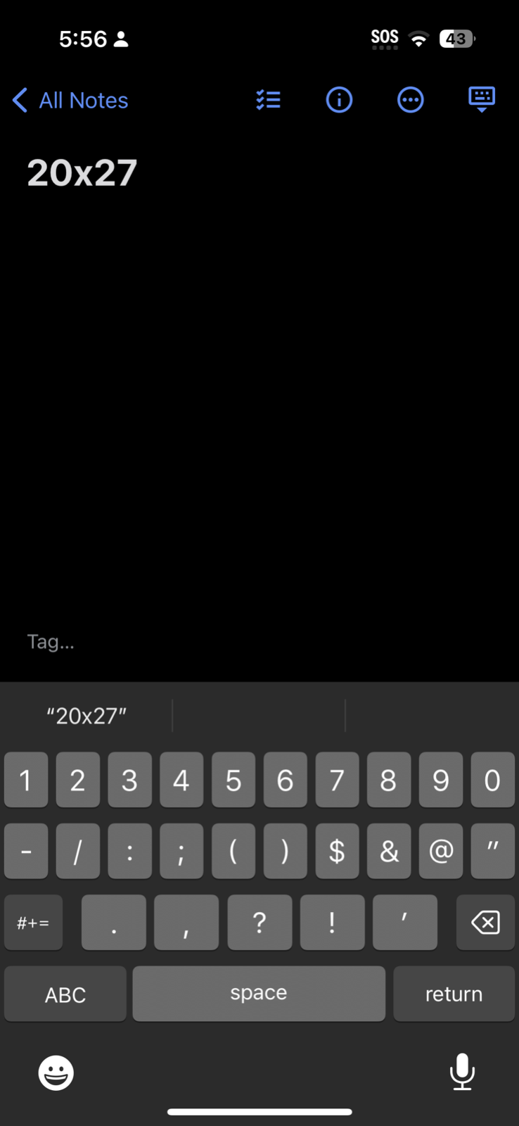 High Fever 90s VTG T Shirt Star USA Hanes 90s Follies Local Talent PDX Oregon