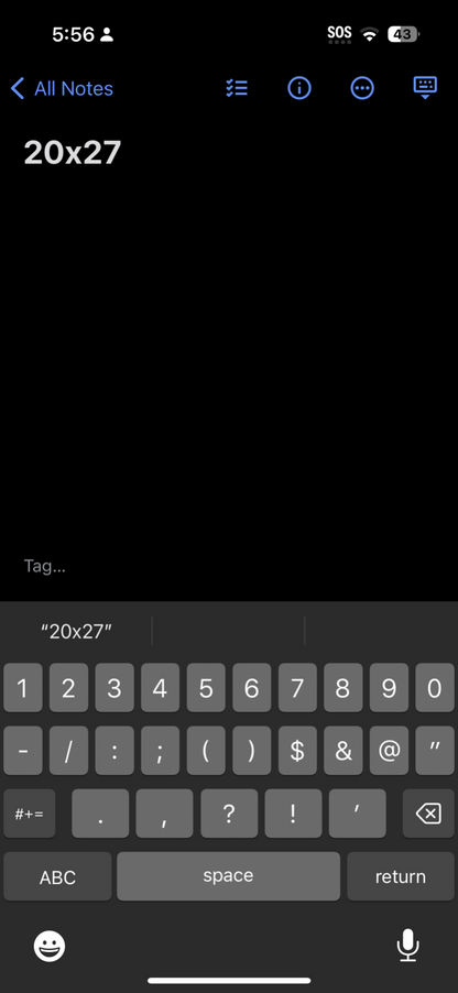 High Fever 90s VTG T Shirt Star USA Hanes 90s Follies Local Talent PDX Oregon