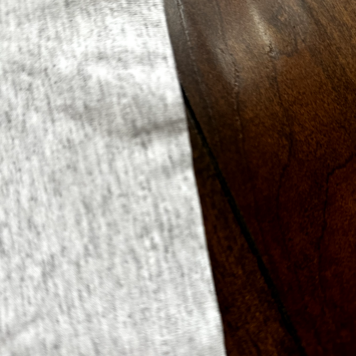 Oregon Trail West Wagons Vintage T Shirt Single Stitch State USA Cool Gray