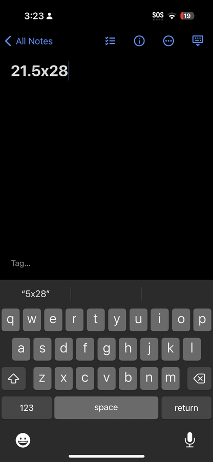 Oregon Ski Deer Mountains 80s Hanes 50/50 VTG T Shirt Grid Sports Travel USA