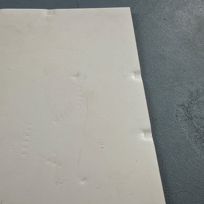 The Rockfords Band Signed Autograph Poster Board Rare Seattle Washington Rock