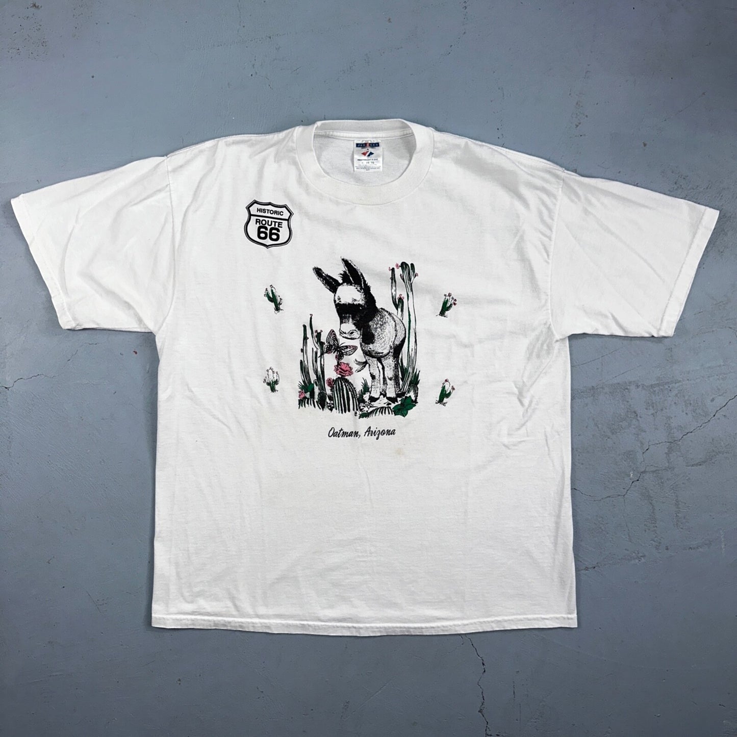 Oatman Arizona Route 66 VTG T Shirt Burro Cactus Flowers Route Cute Donkey Horse