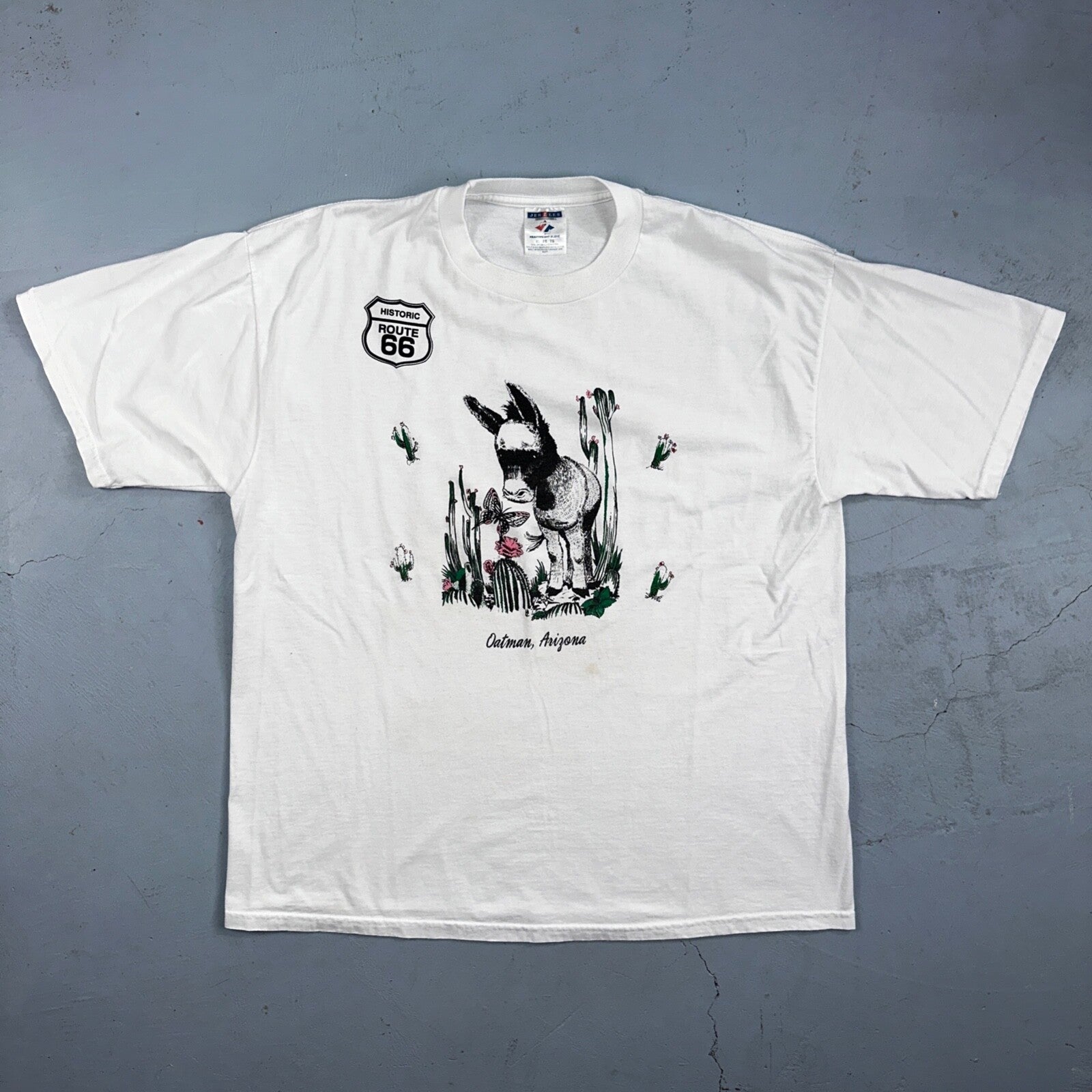 Oatman Arizona Route 66 VTG T Shirt Burro Cactus Flowers Route Cute Donkey Horse