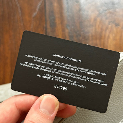 Nike Air Dior Jordan Wings Logo Grey Logo Small Rare Shoulder Bag 100% Authentic