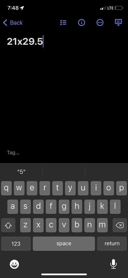 Vintage 1970s 14th Place California Womens Long Sleeve Striped Button Shirt 70s