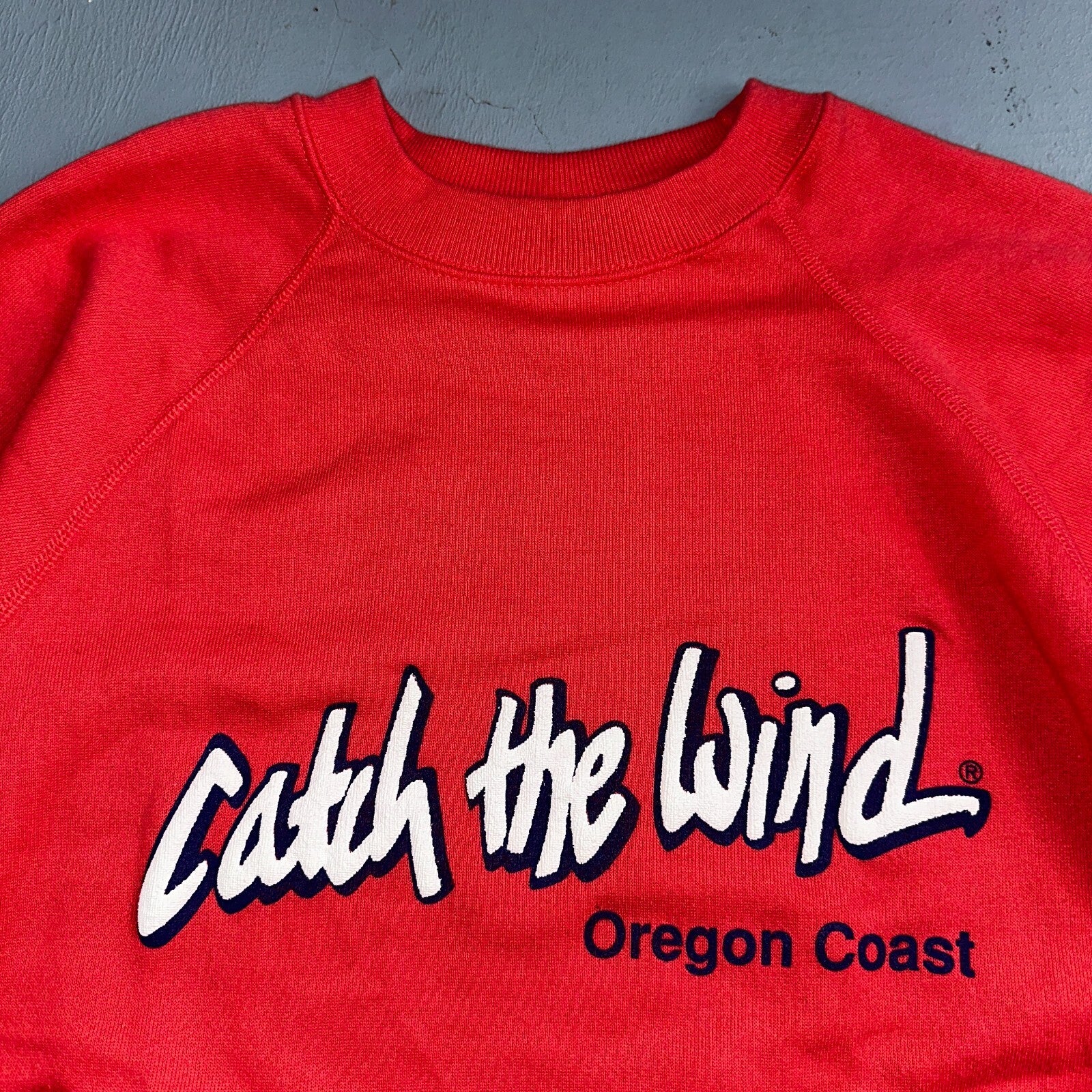 Hanes VTG Catch The Wind Crew Neck Sweatshirt Central Oregon 80s Pink XL
