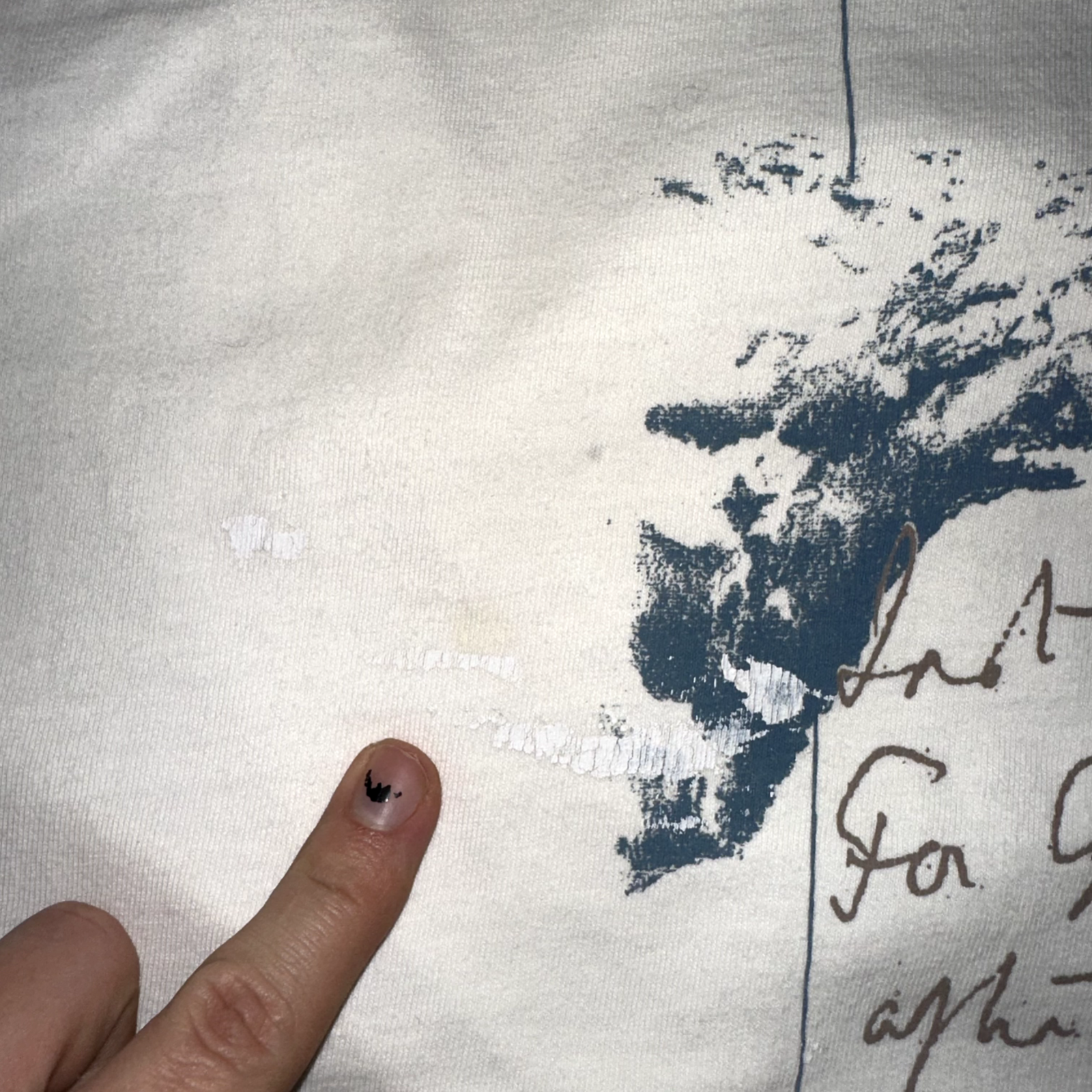 Terra Nova Vintage T Shirt Willamette University Salem Oregon Theatre Music Art