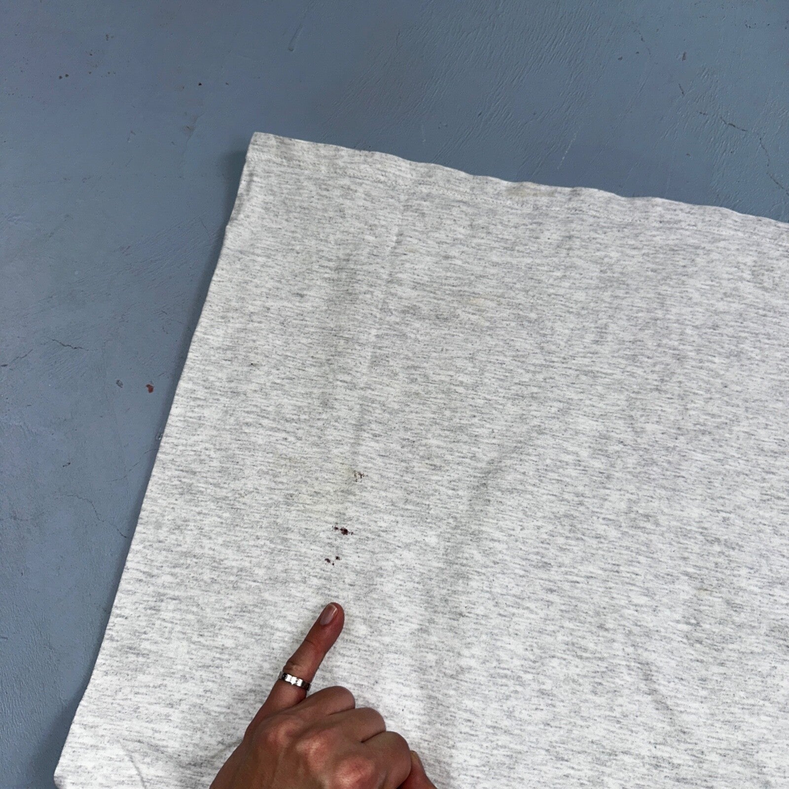 Airlie Hot Air Balloon VTG T Shirt Winery Grapes Monmouth Oregon Vineyard Wine