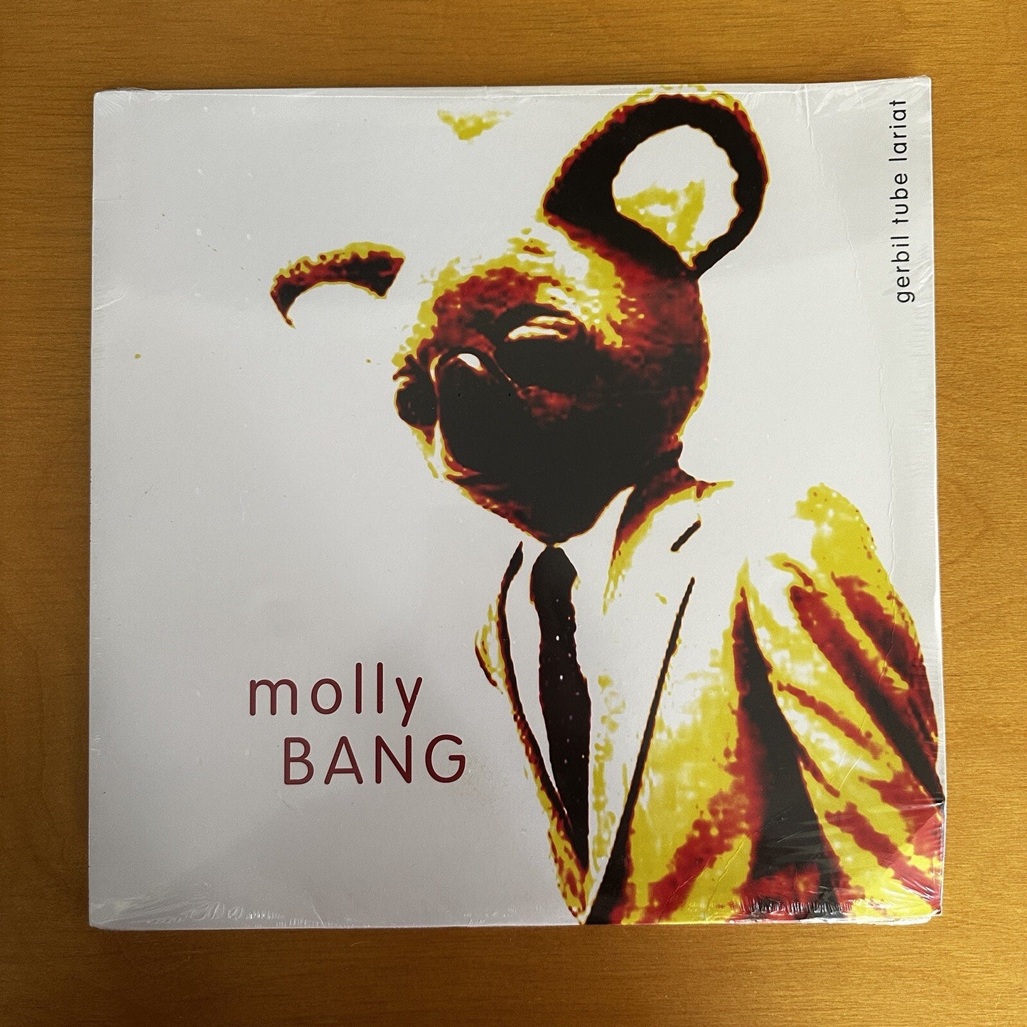 SEALED molly BANG ‎– gerbil tube lariat  LP  Portland Oregon Lo Fi u2 rem VINYL
