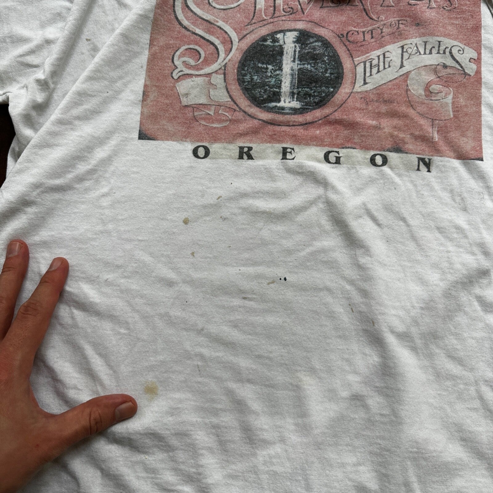 Silverton Oregon The Falls VTG T Shirt 90s Screen Stars Single Stitch PDX USA
