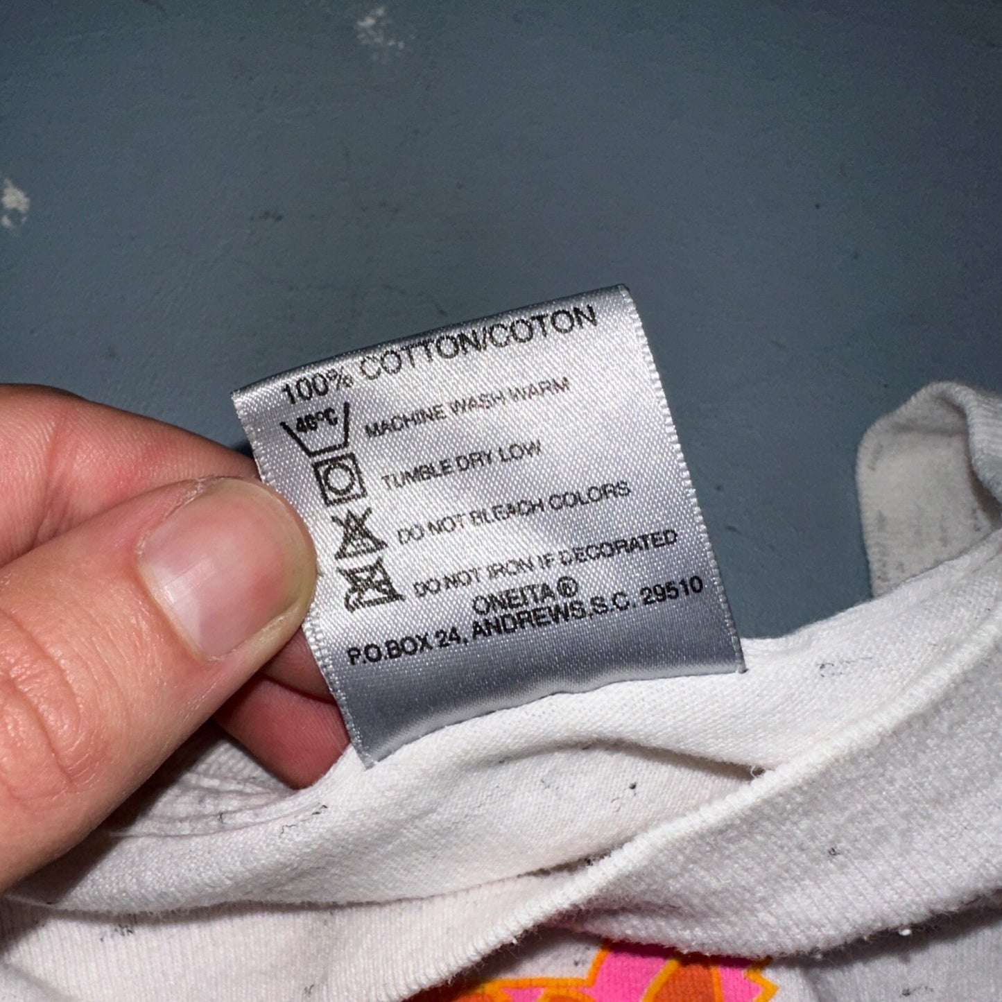 Oneita Cat San Diego VTG T Shirt 90s Gray Heather Cute California USA Pink Sun