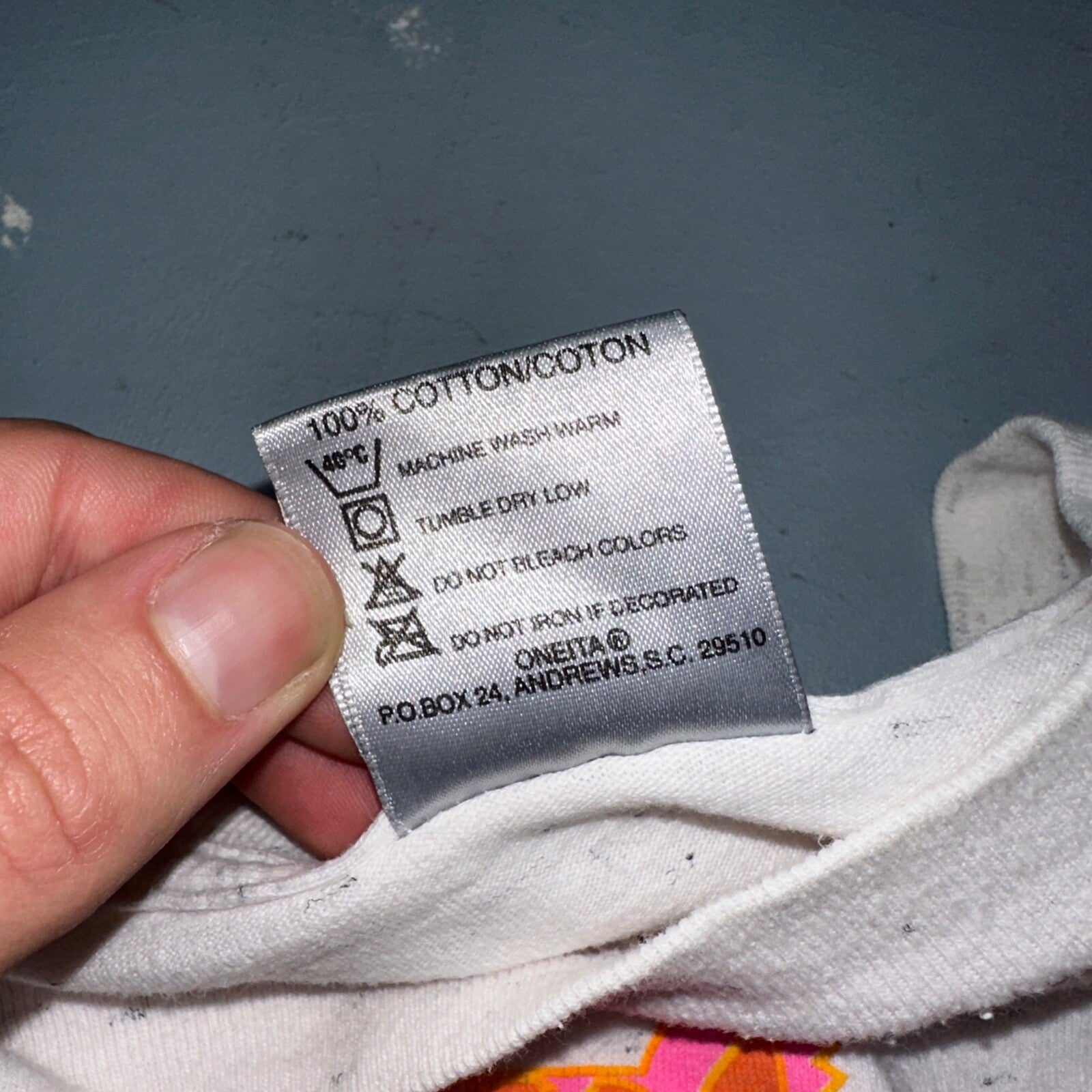 Oneita Cat San Diego VTG T Shirt 90s Gray Heather Cute California USA Pink Sun