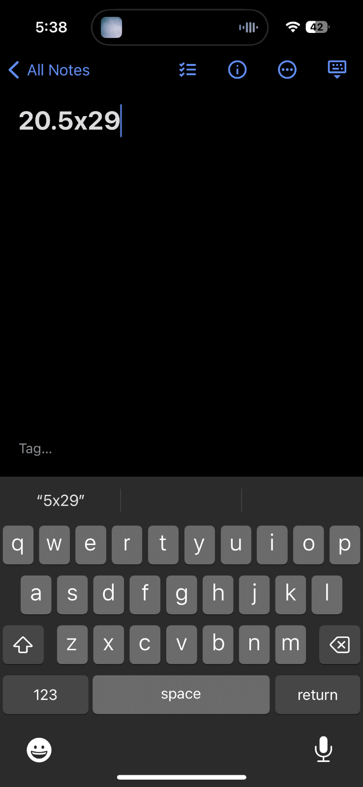 Amtrack Coast to Coast VTG T Shirt Sunset Limited Train Tracks Travel USA Sunset