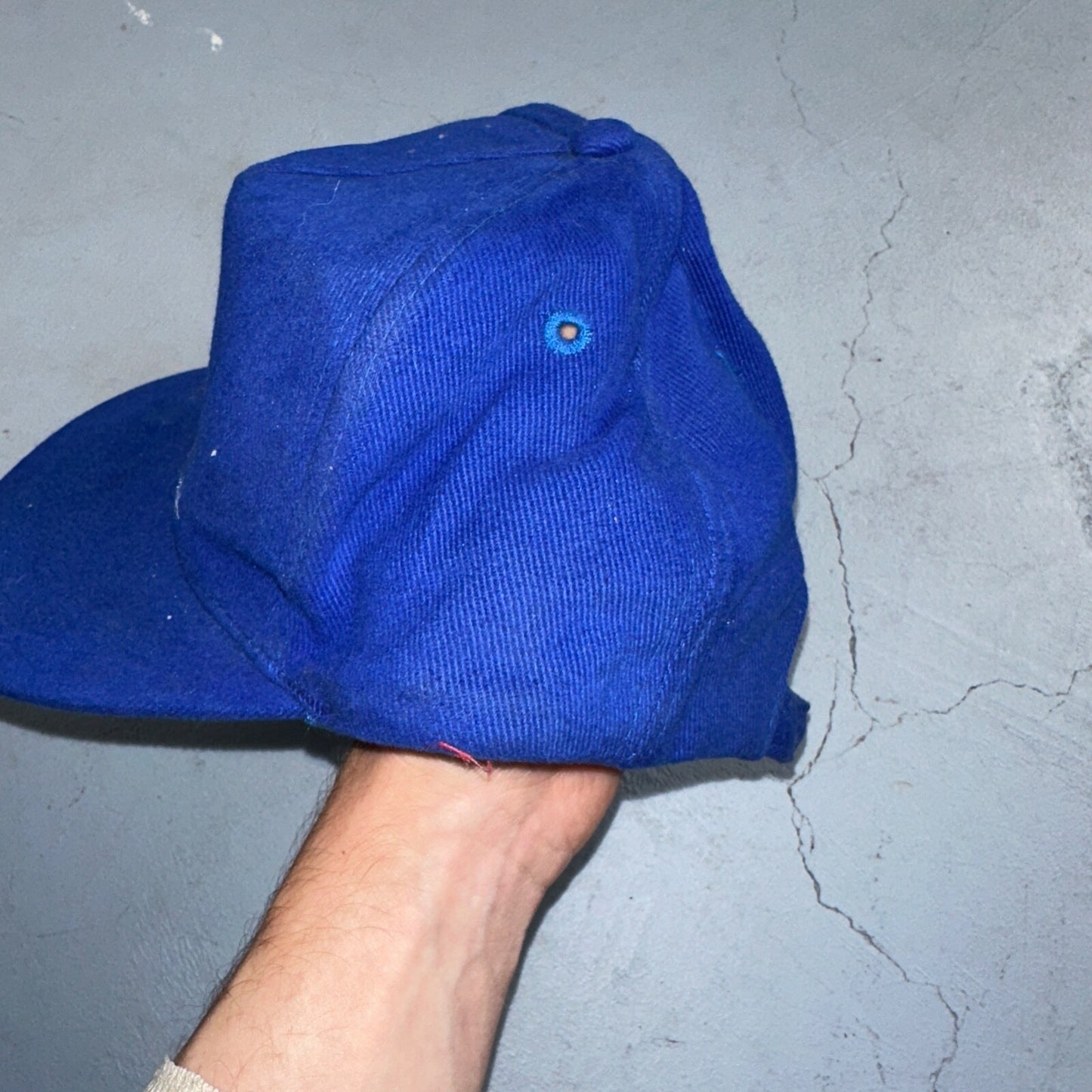 Shoshone First Bank VTG Hat Cap Snapback Buffalo Otto Blue Animals Love Cool