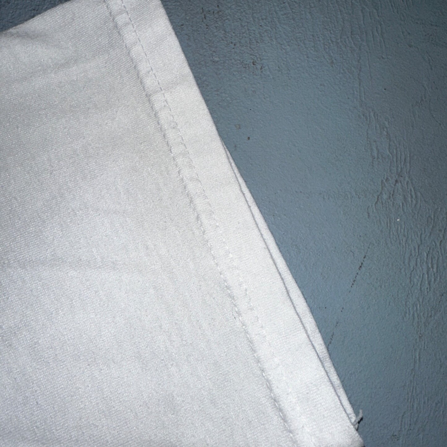 Oatman Arizona Route 66 VTG T Shirt Burro Cactus Flowers Route Cute Donkey Horse