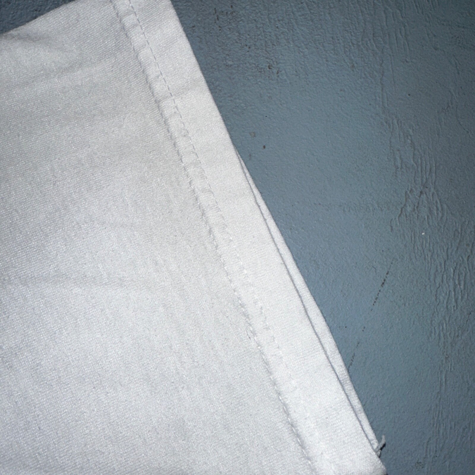 Oatman Arizona Route 66 VTG T Shirt Burro Cactus Flowers Route Cute Donkey Horse