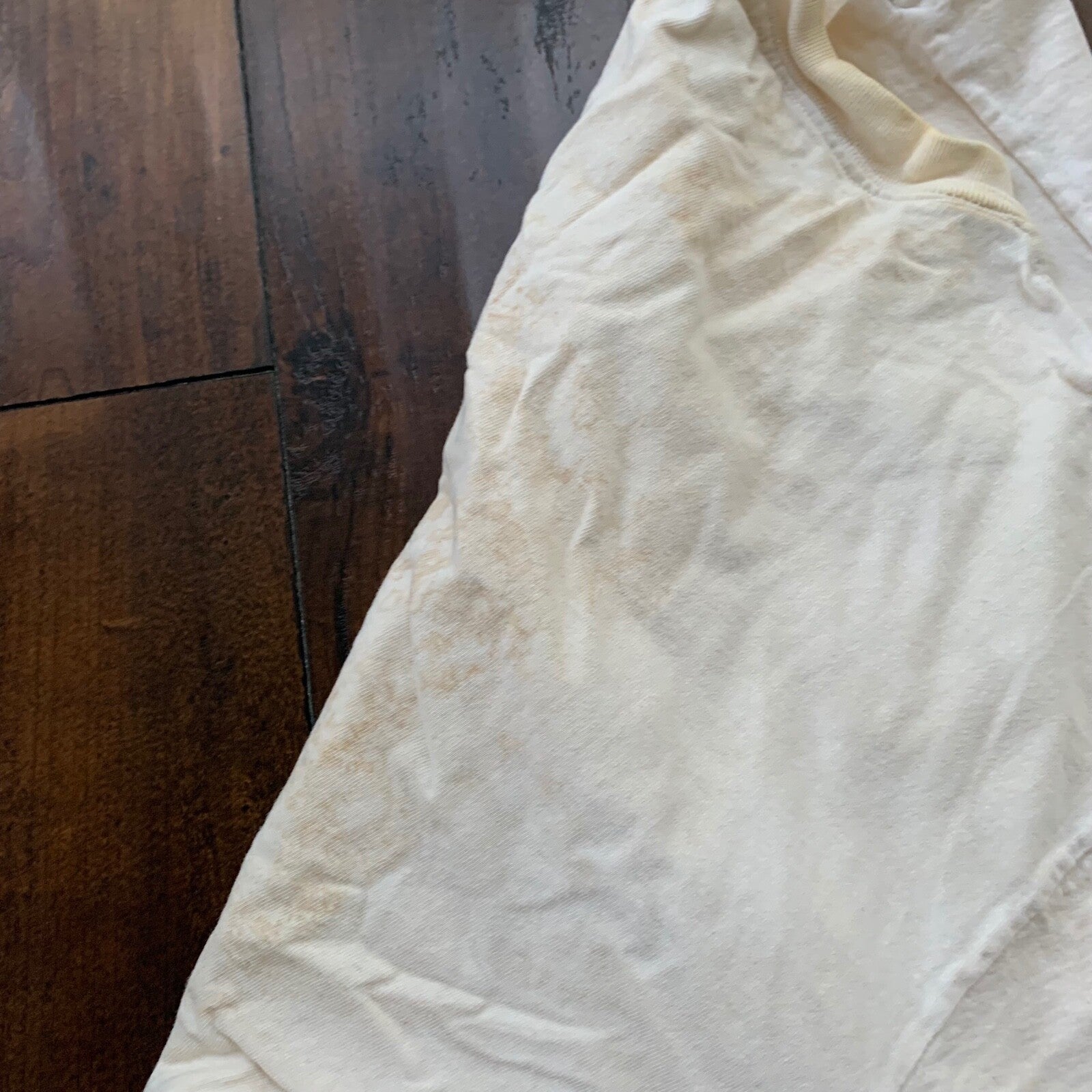 I Got Fresh Vintage T Shirt Nevada Fruits Market Garden Food Fun Humble 90s Rap