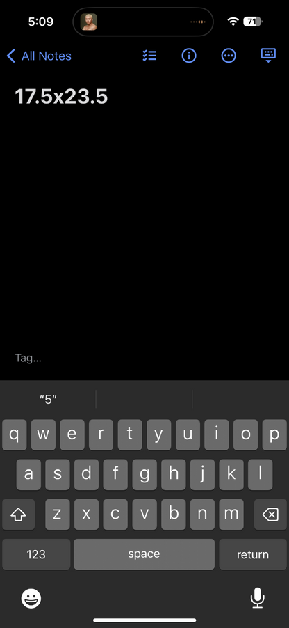 Indianapolis 500 70s Ringer VTG T Shirt 1970s Rare 33 Race Car Racing Motor