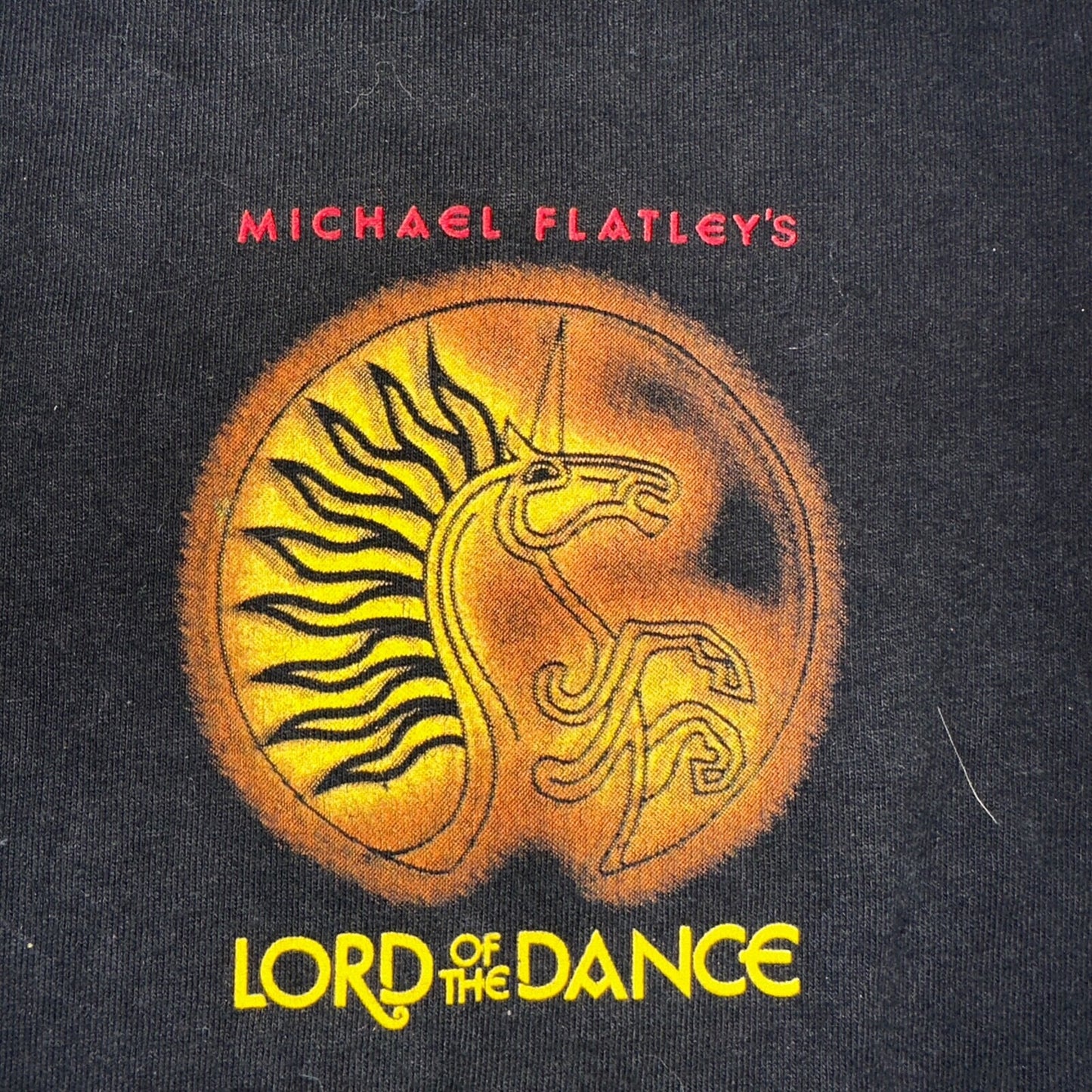 Polygram Lord Of Dance VTG T Shirt Micheal Flatleys Black Rap 90s 1997 Promo Rar
