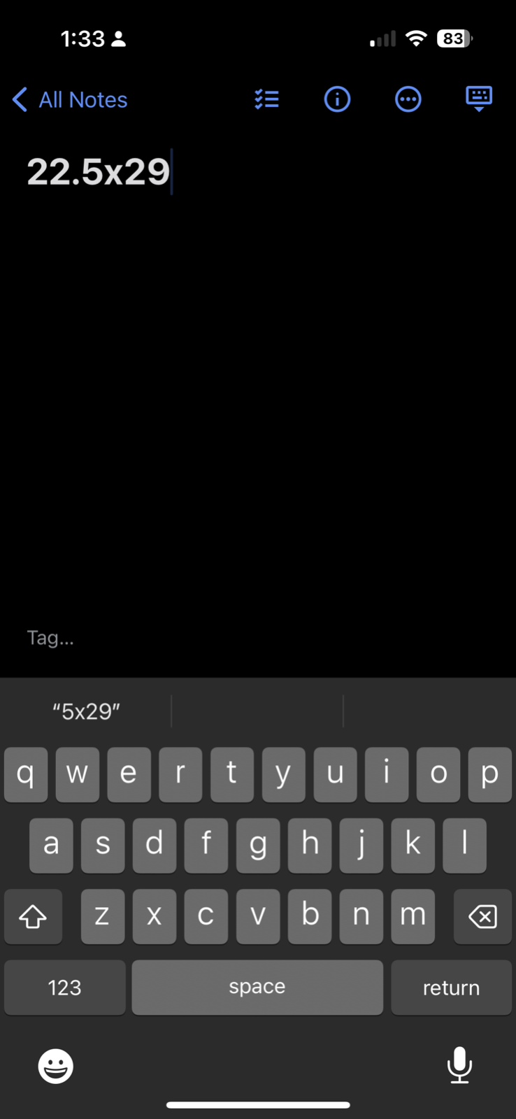 Newton Connection Computer PC VTG T Shirt 90s Hanes Beefy Grey Rare Graphic