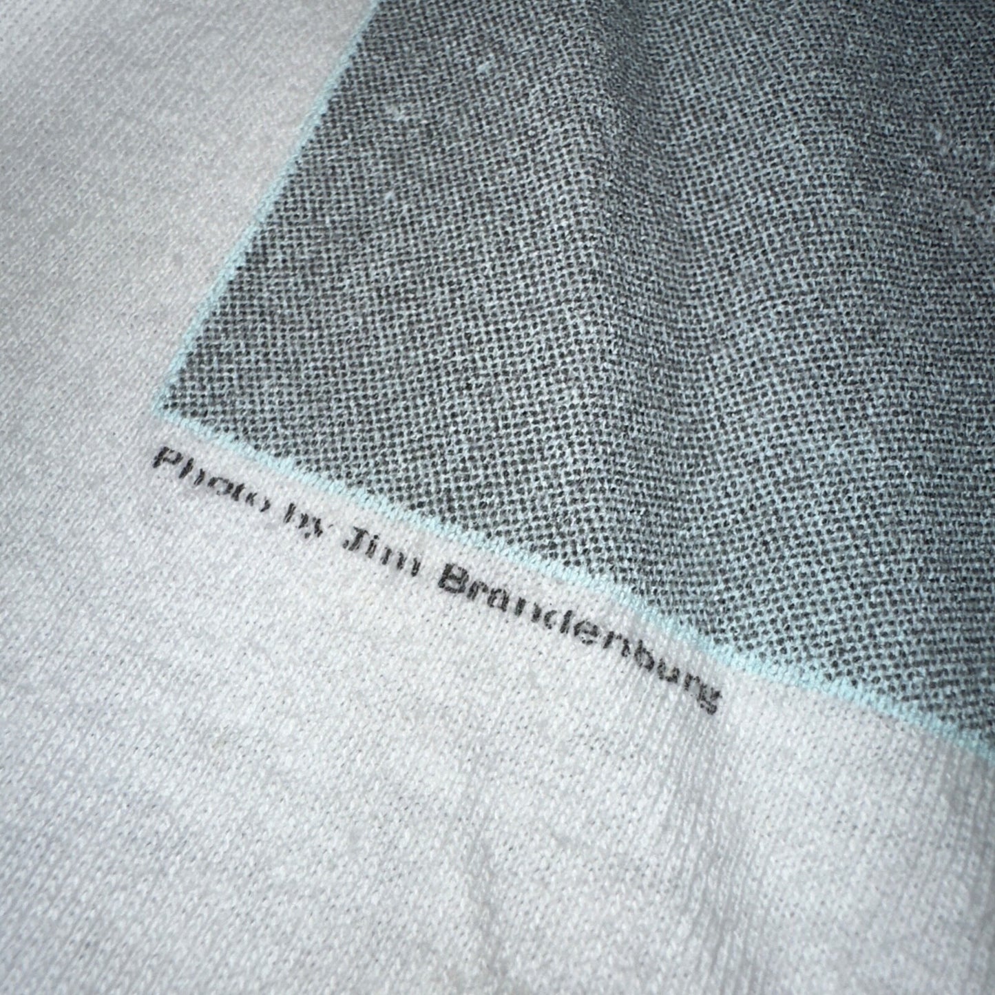 James Taylor Never Die Young VTG T Shirt 80s Hanes XL Howling Wolf RARE Concert