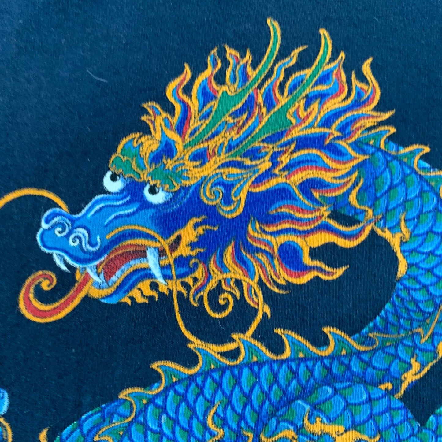 Dragon Portland Art Museum Vintage T Shirt Art Geisha Rap Picasso Rare 90s Band